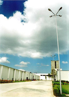 ������ ����