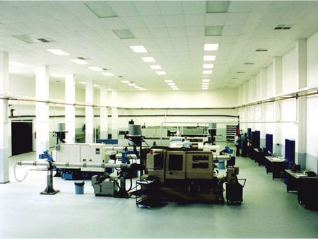 ������ ����