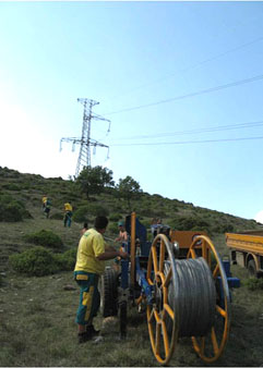 ��� ���, ��. ����������<br> ������� ���������� ���